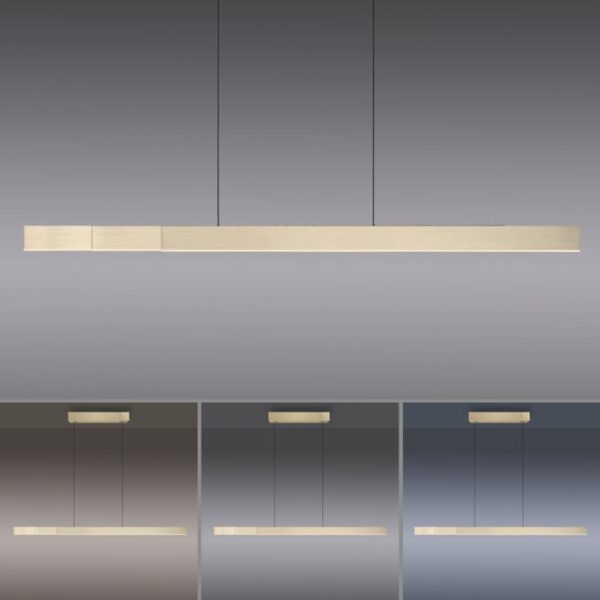 PURE Moto-Rise – Image 2