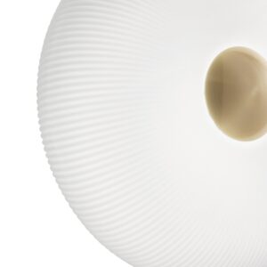 214498_ZOO001_ARIZONA_PL2