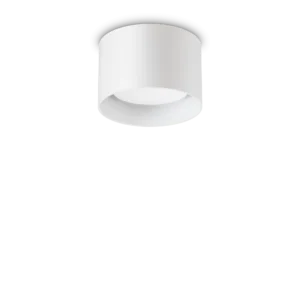 Sublimez votre intérieur avec ce plafonnier LED rond blanc. Design épuré, lumière douce et homogène pour salon, chambre ou couloir.