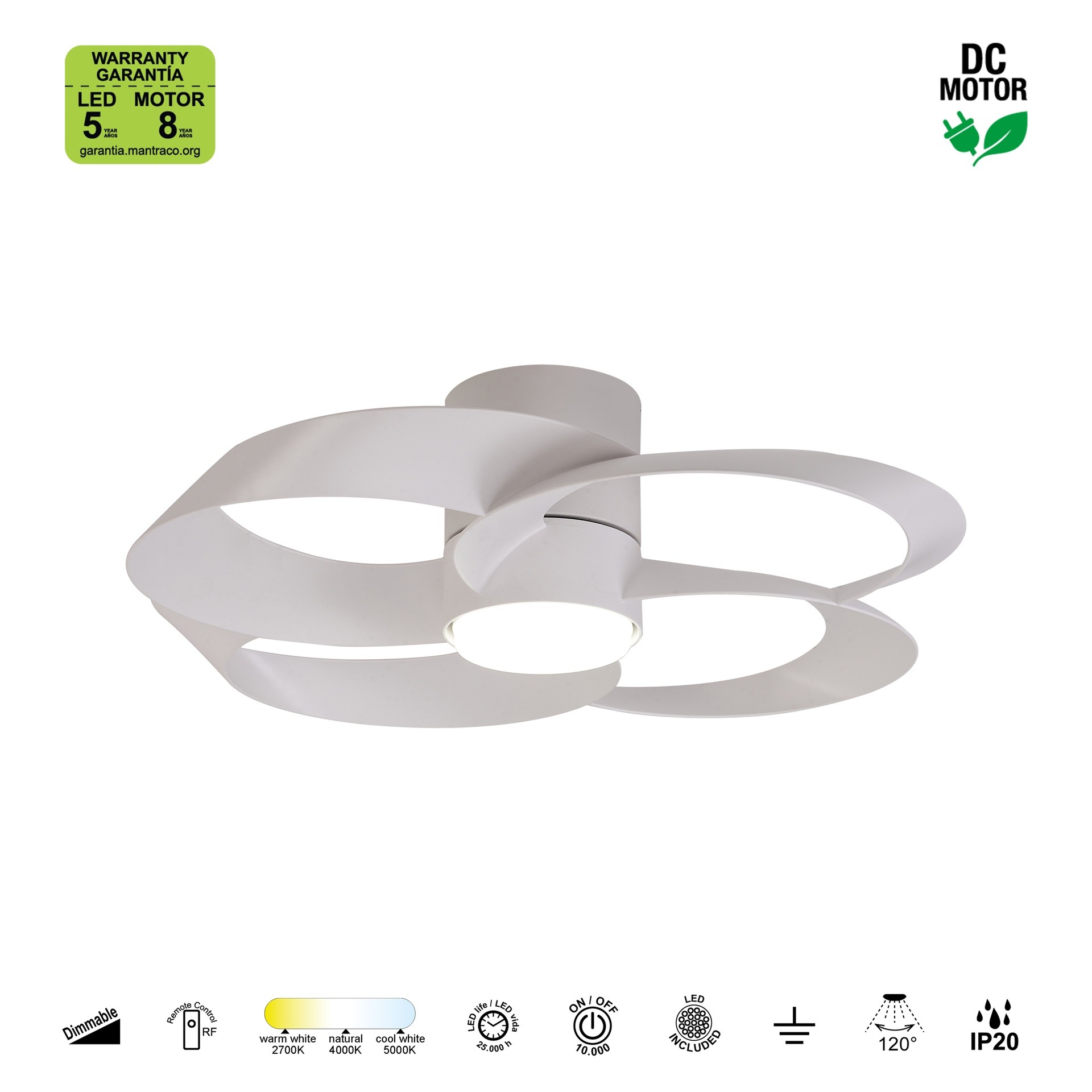 Rose – Image 4