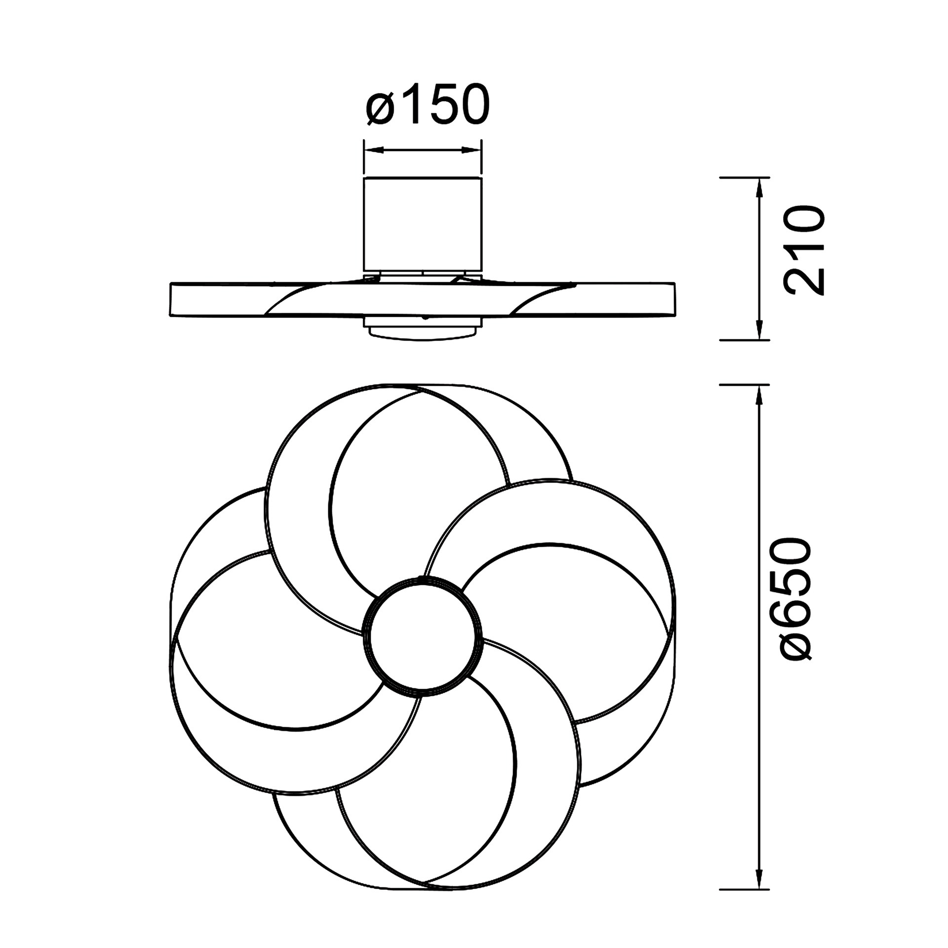 Rose – Image 5
